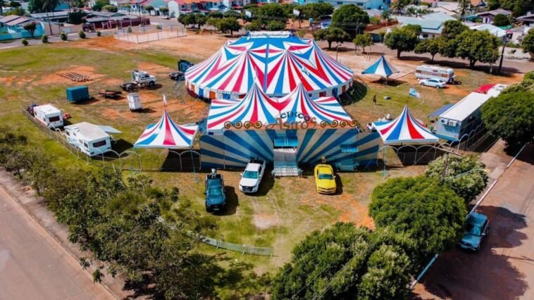 The Big Circus - Produtor - Eventos e Conteúdos na Sympla